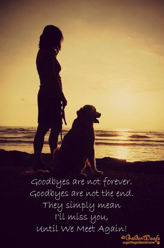goodbye_is_not_forever.jpg